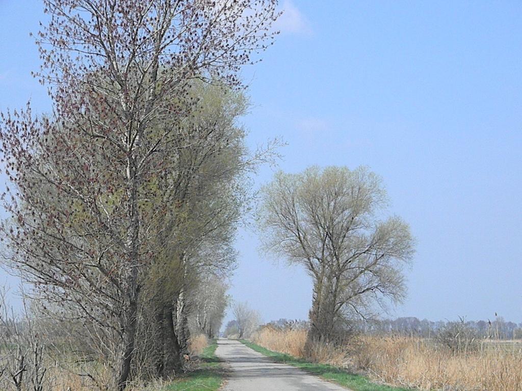Gasthof Zur Linde Sankt Andra am Zicksee Екстер'єр фото